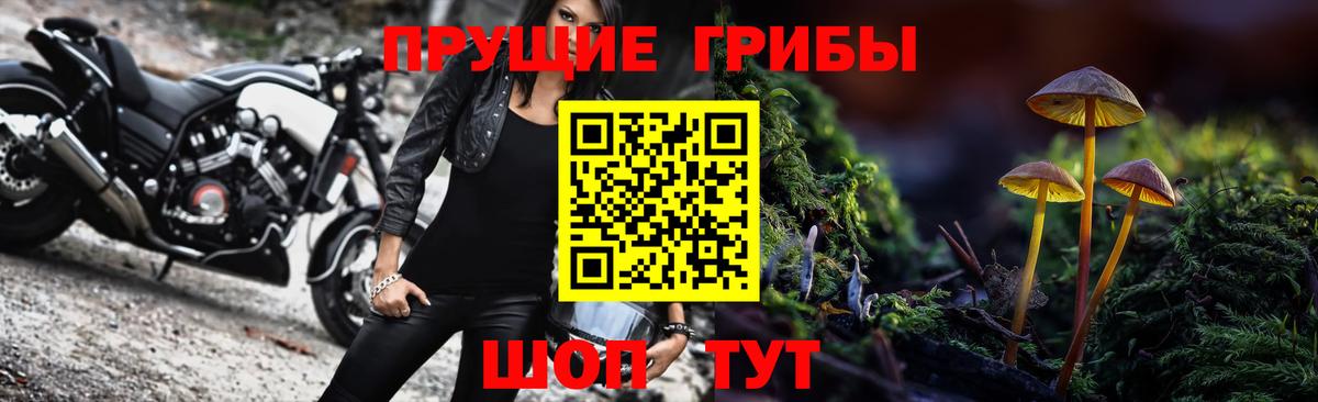 Псилоцибиновые грибы прущие грибы  Вход с VPN  Лиски 
